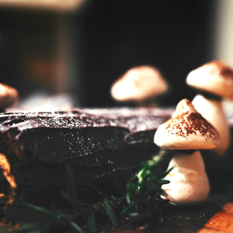 Hard dark chocolate surrounded by marshmallow mushrooms and a sprig of greenery