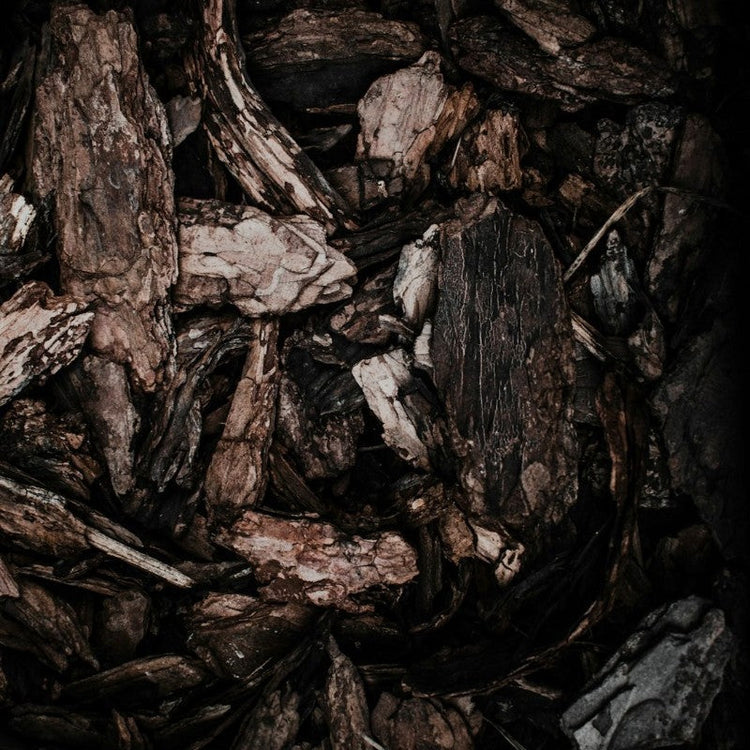 Rich dark brown and black wood shards in a pile